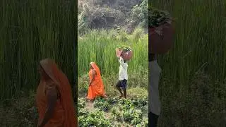 Helping hands are holier than praying lips #helping #trending #respect #viralvideo #humanity #short