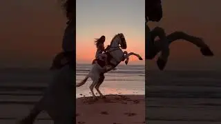 horse riding girls #girls #ytshorts #shorts #viral #youtubeshorts #reel #reels