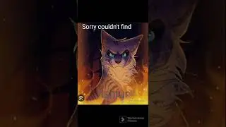 (Capt. Bandicoot) Warrior cats who went through the most pain all parts