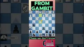 Giuoco Piano Trap: Master the Deadly Fried Liver Attack! #chess