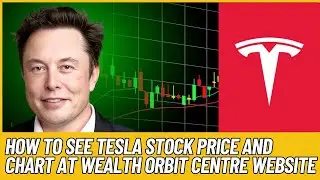 HOW TO SEE TESLA STOCK PRICE AND CHART AT WEALTH ORBIT CENTRE WEBSITE