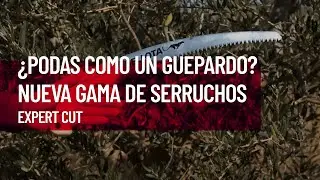 &iquest;Podas como un guepardo? Nueva gama de serruchos Expert Cut