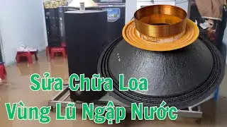 Sửa Chữa Loa Ngập Lũ Thay Trọn Bộ Recone Kit