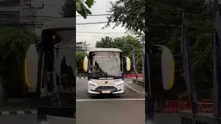 pesona medium bus kapasitas 35 seat terbaru laksana sr3 euro 4 isuzu nqr81