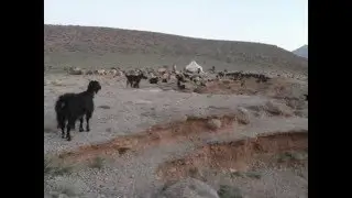 transhumance haut Atlas Maroc mai 2015