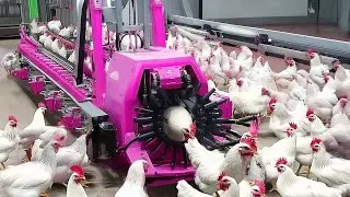 20 Minutes Satisfying Video Working & Exciting Factory Machines, Ingenious Tool, Admirable Worker ▶3