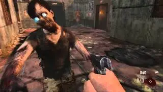 New Permanent Perk (Zombie Slave)