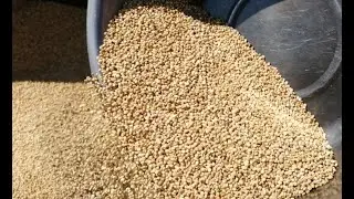 Quinoa seed cleaning machine&mdash;&mdash;5XFZ-25SC air screen cleaner with gravity table
