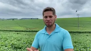 APLICAÇÃO DO TRICHODERMA - Como é feito ? 🤩🌱🧪❤️
