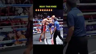 Muay Thai knee kick #muaythai #mma #martialarts #kickboxing