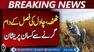 Thatta | Rice Crop Prices Fall | Farmers Protest | Market Losses - Pakistan news