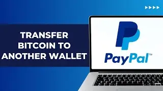 How to Transfer Bitcoin Out of PayPal to Another Wallet
