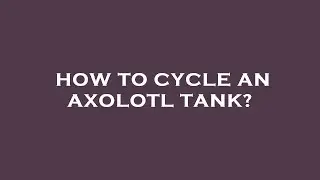 How to cycle an axolotl tank?