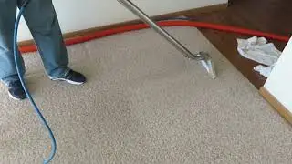 Xtreme Carpet Cleaning Fond du Lac Wisconsin WI 54935 Oshkosh Lomira Ripon Green Lake St Cloud