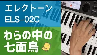 わらの中の七面鳥 Turkey in the straw エレクトーン ELS-02C