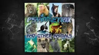 Psymmetrix - Mutant Psychedelic