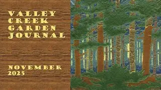 🌿 November 2025 Garden Tour | Japanese Maples, New Beds & Projects | Valley Creek Garden Journal