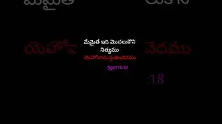 కీర్తనల గ్రంథము 115:18 మేమైతే ఇది మొదలుకొని నిత్యము యెహోవాను స్తుతించెదము యెహోవాను స్తుతించుడి.