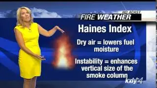 Forecast Focus for August 18