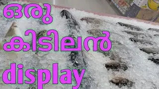 Fish ഭംഗിയിൽ Display ചെയ്യാം | fish display | Haris fishworld