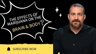 The Effects of Marijuana on the Brain & Body | Dr. Andrew Huberman