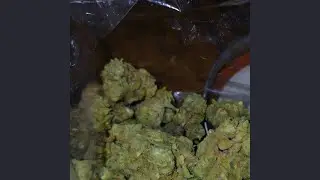 Florida Snow