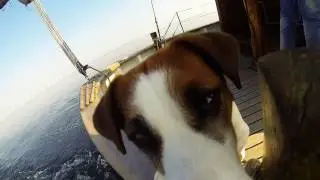 The Perfect Day Out Sailing