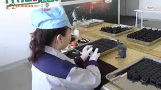 LASERSPEED Company Introduction - Dandong Xunlei Technology