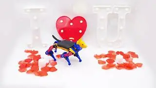 Happy Valentine's Day from Petoi Robot Pets | PetoiCamp
