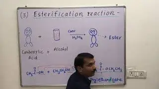 Simple Learning Trick For Esterification Reaction