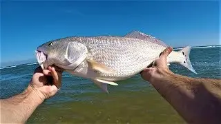 Outer Banks Fishing - Red Drum, Black Drum, Sea Mullet, Bluefish, Pompano