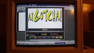 AiGotcha!: Parallel Video Capture