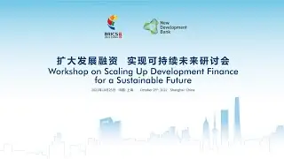 Workshop on &ldquo;Scaling Up Development Finance for a Sustainable Future&rdquo; Full Record