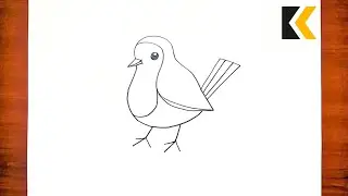 How To Draw Robin Redbreast Bird | Draw Animals Easily