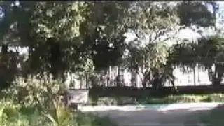 Le jardin de Hadjout