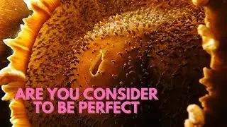 Full Relax Meditation Music || BIBLE INSPIRATION SCRIPTURE