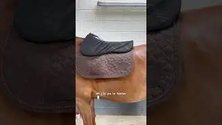 Un must-have ! 🔥 #cheval #chevaux #horse #equitation #equestrian #cso