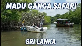 Madu Ganga Bootsafari & Balapitiya Spaziergang | Sri Lanka