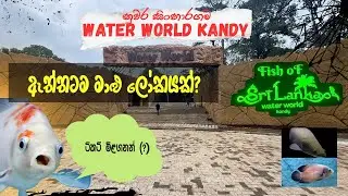 Water World Kandy Sinharagama | Is It Worth Visiting For Money? (Full Site Tour)