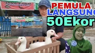 BUY BONUS COUNTING MACHINE #ENTOKJUMBO#ENTOKRAMBIN#ENTOKHIAS
