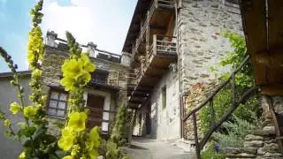 Parchi Alpi Cozie -  Parks of the Cottian Alps