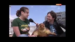 La mer n'est pas une poubelle !   Les films   Mativi Poitou 1