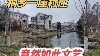 桐乡一座村庄竟然如此文艺，除了田野气息，更有江南深厚的韵味，#我要做爆款视频
