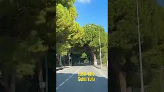 İzmir Urla Sahil yolu 🌲#izmir #urla #sahil #yol #road #nature #forest #roadtrip #gezi #calm #blue