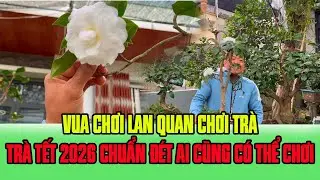 Vua Chơi Lan , Quan Chơi Trà - Trà My Tết 2026 NV Phạm Tuyến