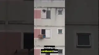 The Dog Fell&hellip; Then a Neighbor Did the Unthinkable 🐶❤️ - Things They Never Told You