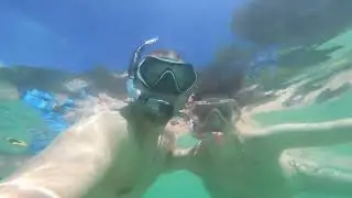 Marine Life in Borneo