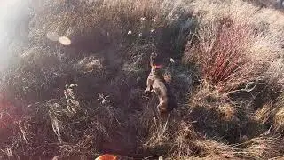 2020 Hunting Season ep. 1