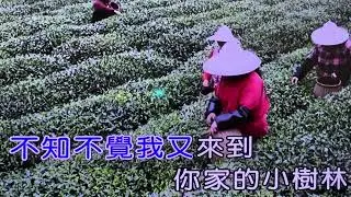 （549）大眼晴2025.10.7練習（碧玉）