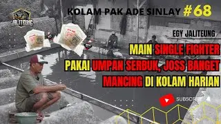 MANCING DADAKAN SAMBIL TEST PRODUK BARU DI KOLAM HARIAN